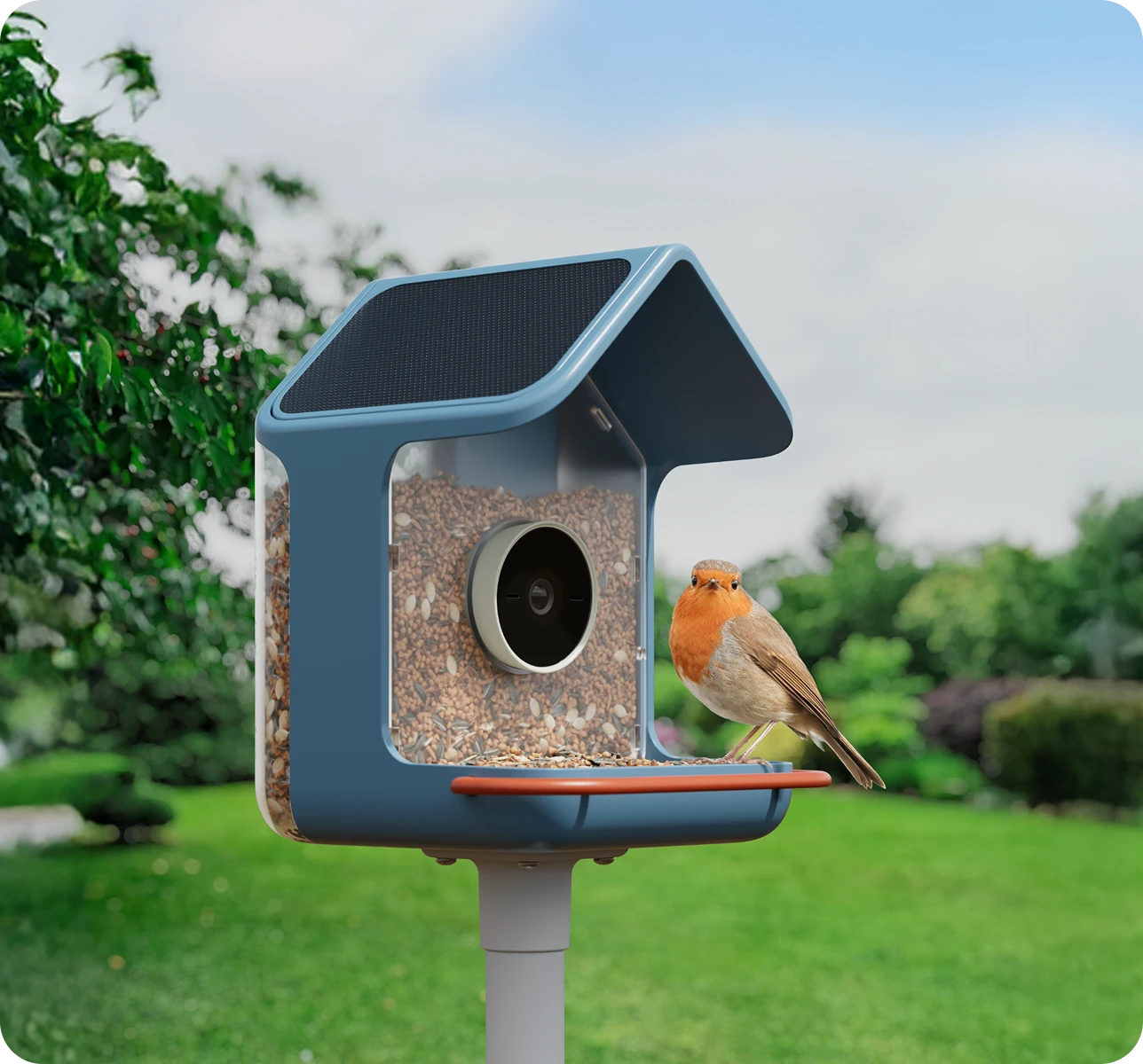 BirdBuddy 2