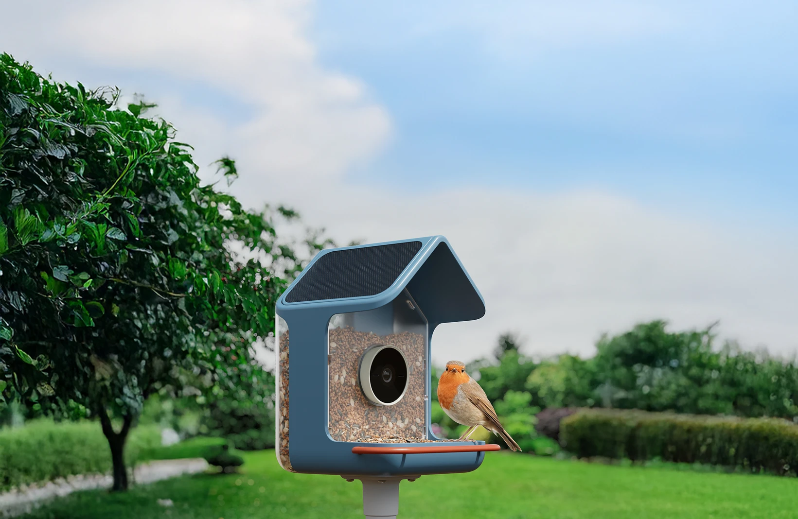 BirdBuddy 2