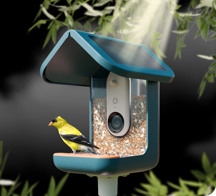 Birdbuddy Pro Solar