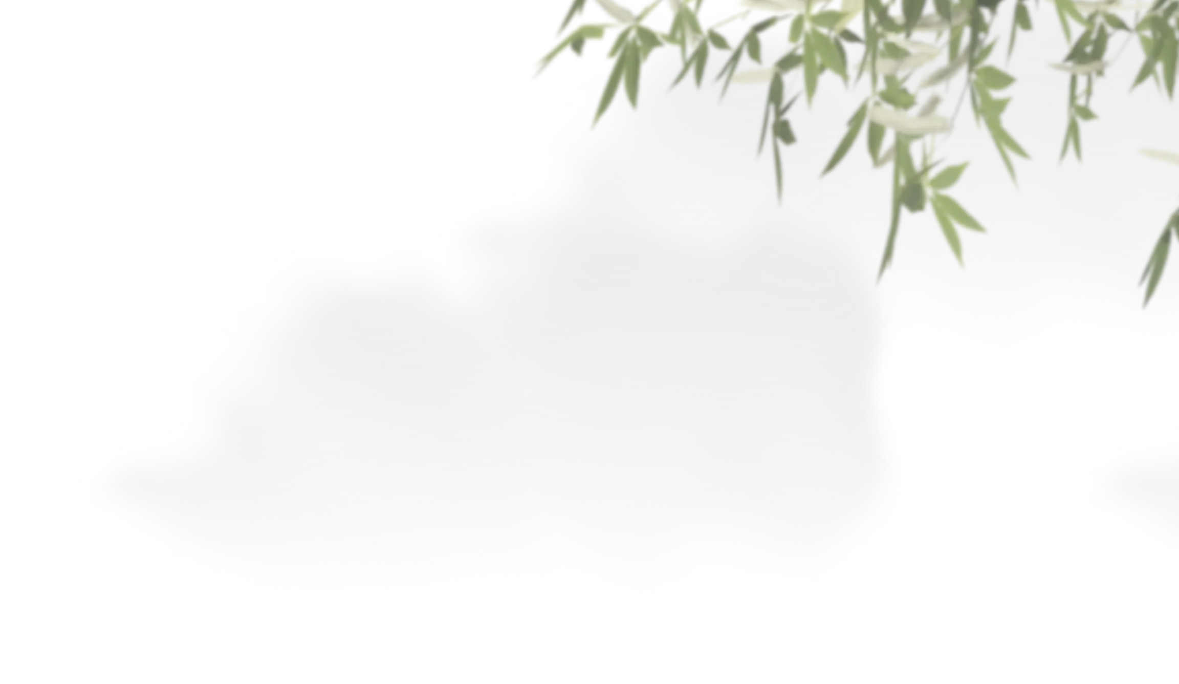 Decor Top
