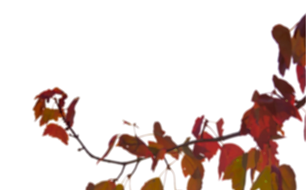 Flowers Bottom