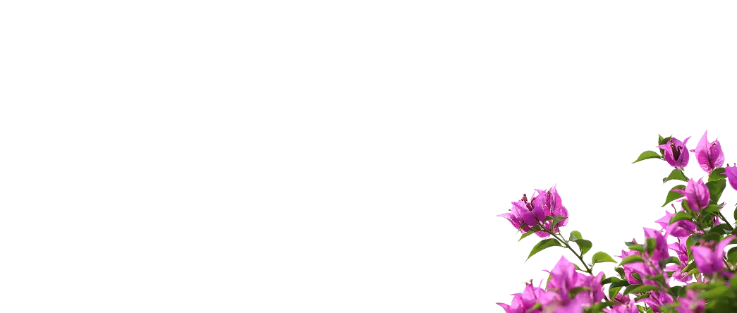 Flowers Bottom
