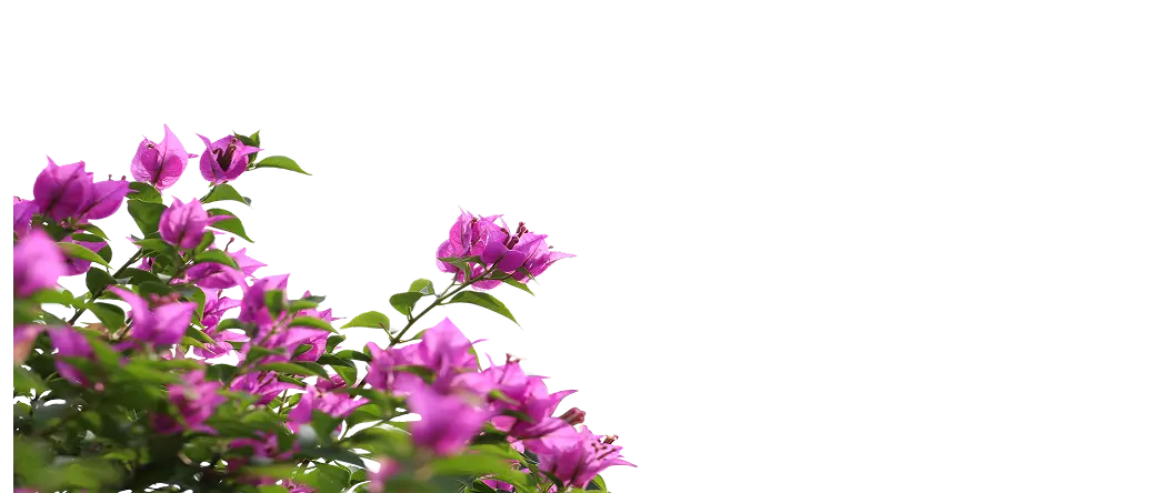 Flowers Middle