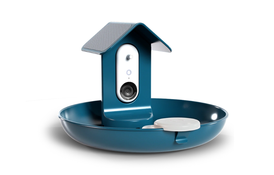 Smart Bird Bath