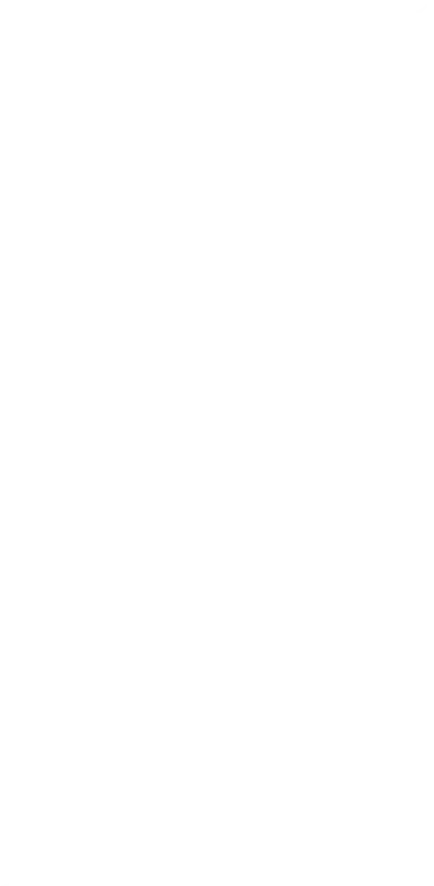 Halloween Spider Web