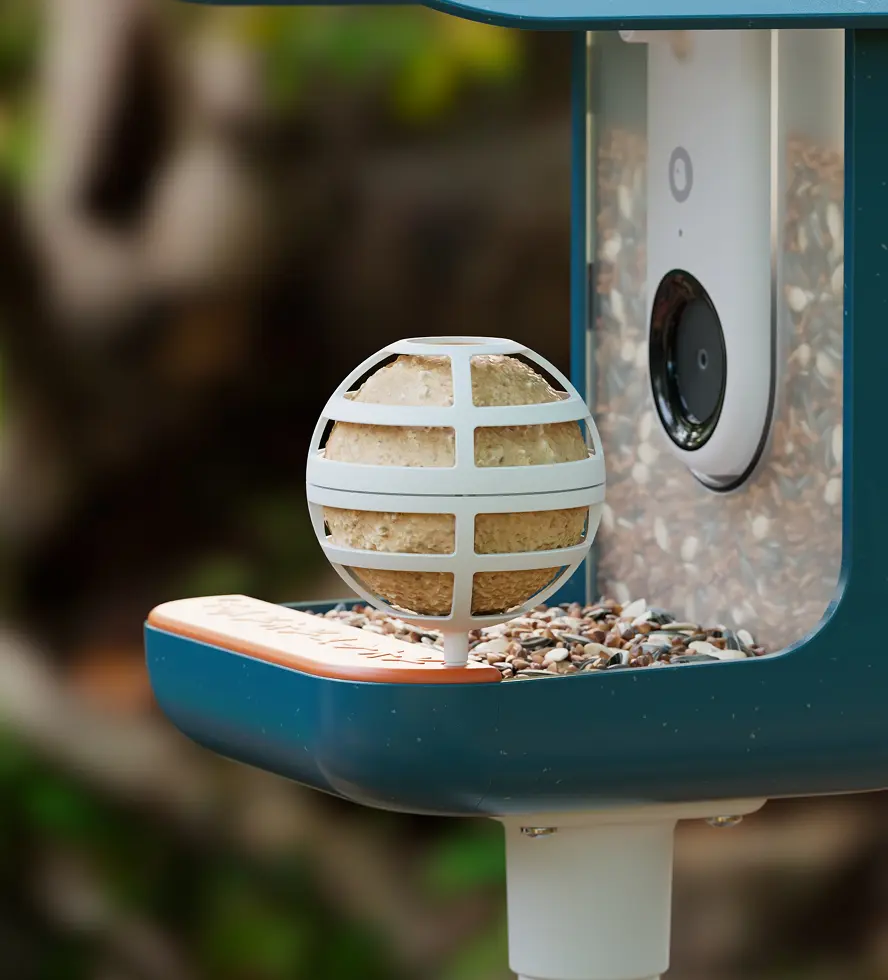 Suet Ball