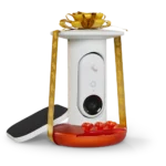 Smart Hummingbird Feeder Pro Solar