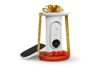 Smart Hummingbird Feeder Pro Solar