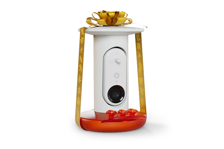 Smart Hummingbird Feeder Pro
