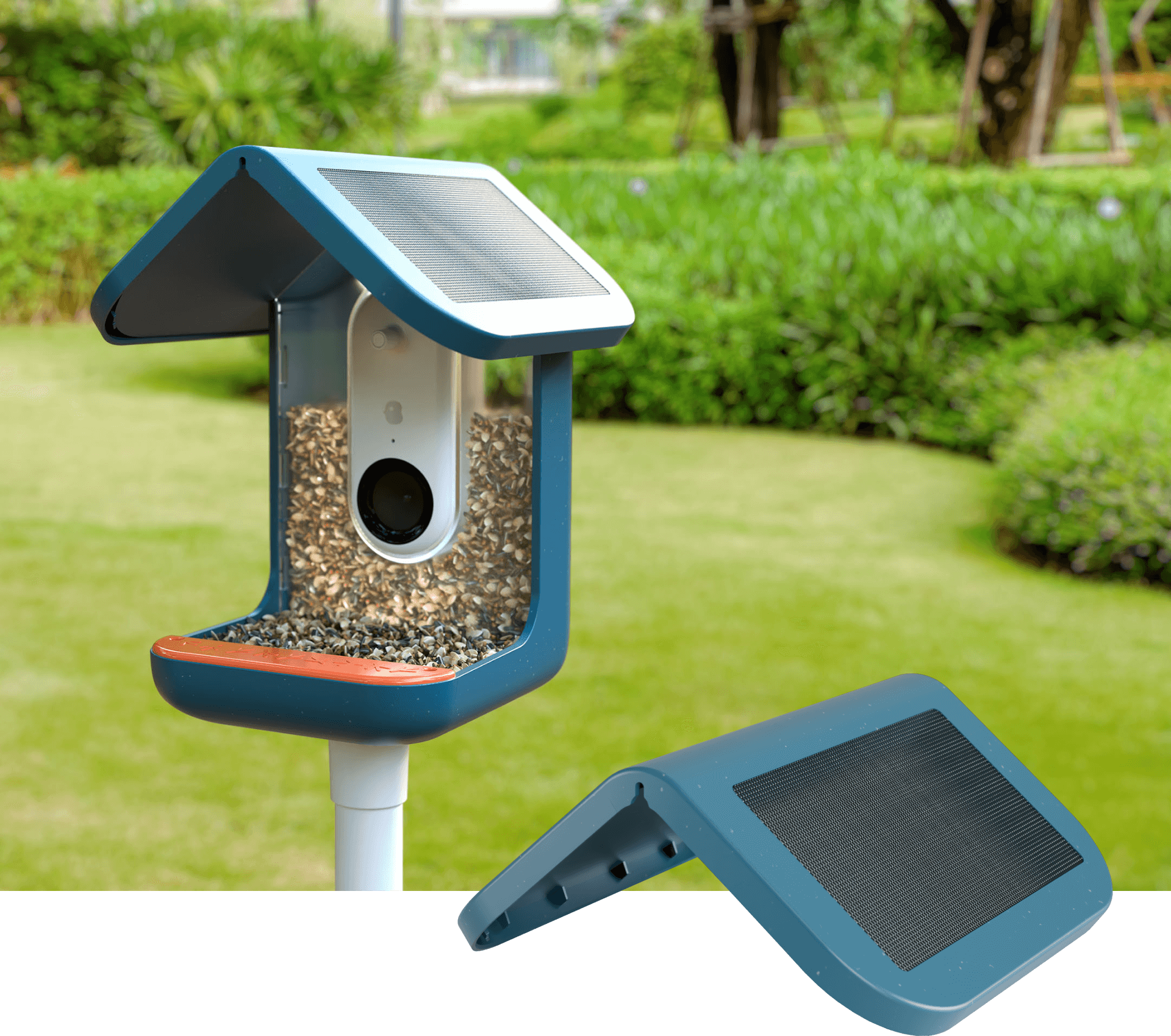 Bird Buddy Solar Roof