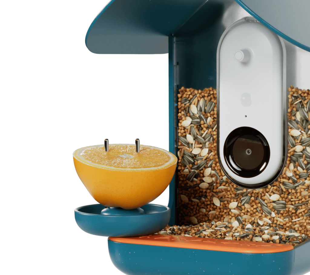 3-in-1 Nutrition Set