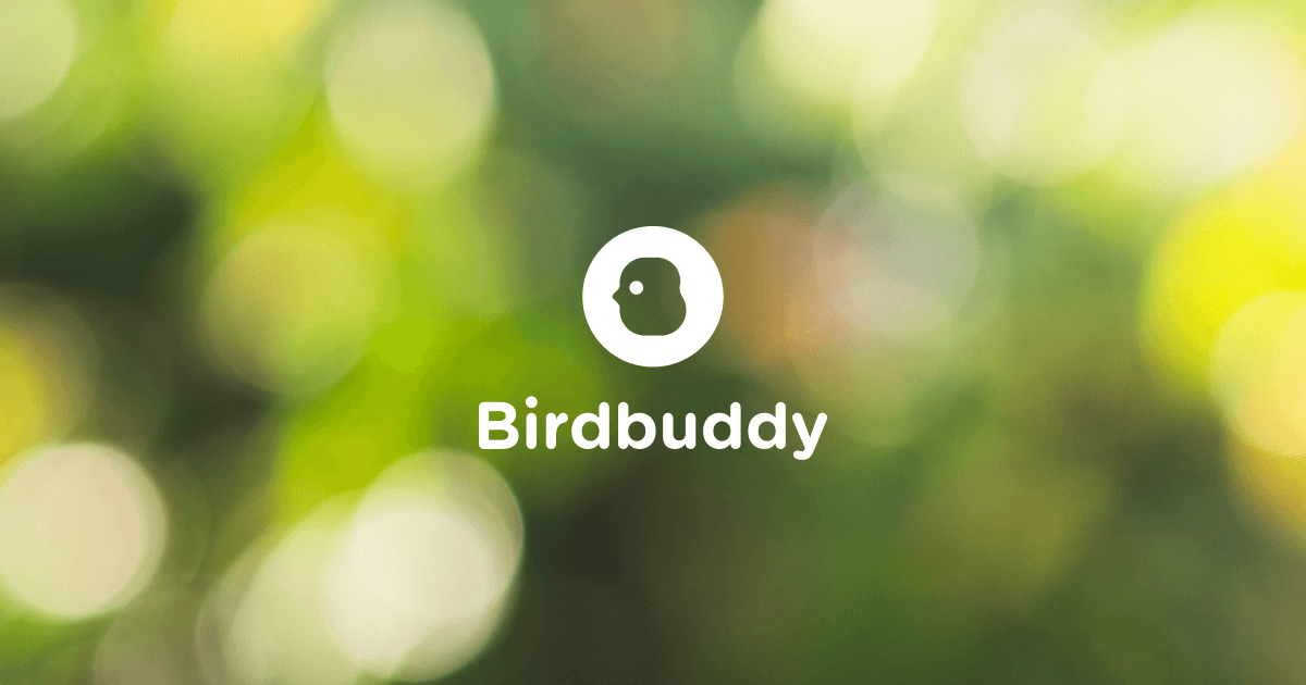 Bird Buddy Smart Bird Feeder with Solar Roof Blue BBG1003BAB