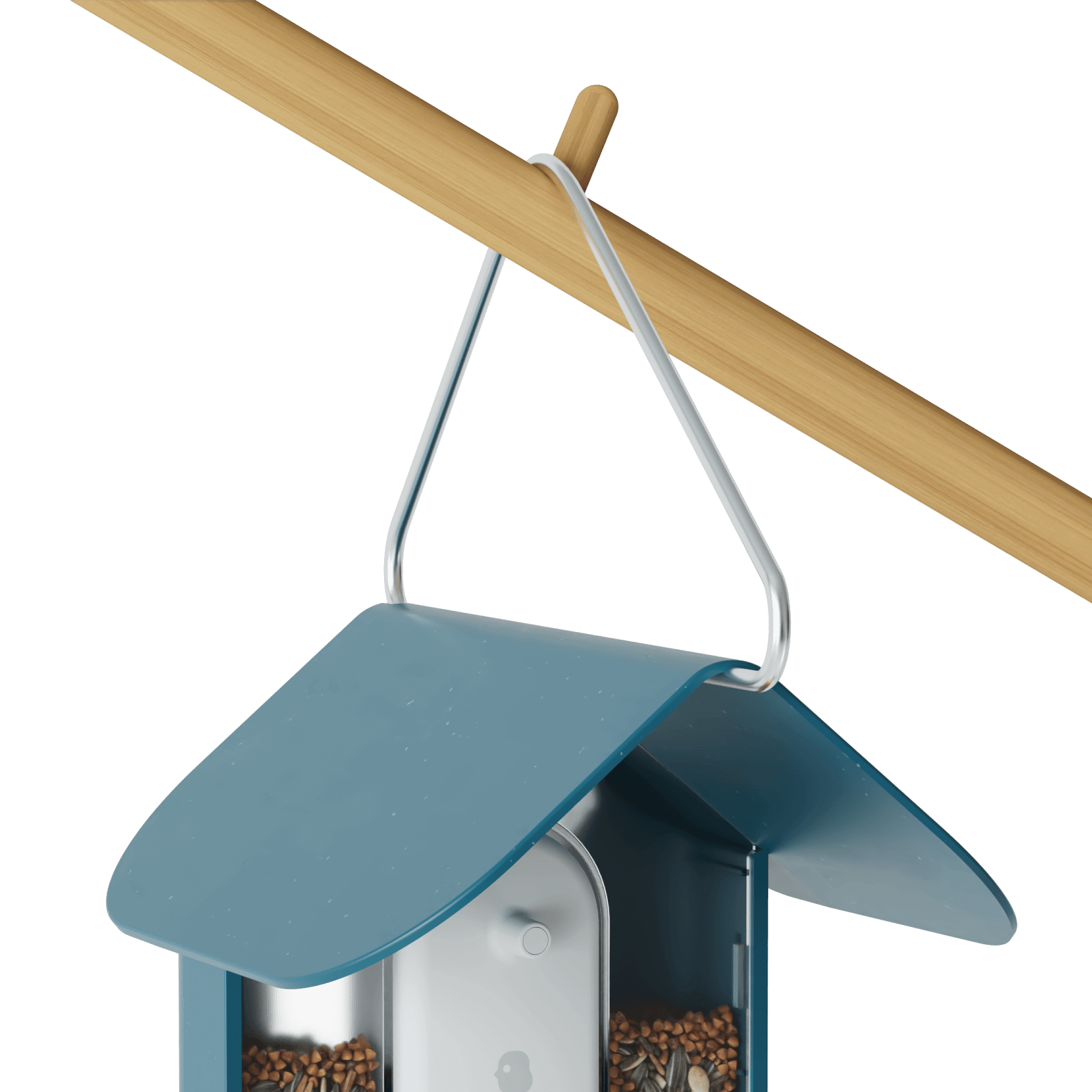 Bird Buddy Review — This Bird Feeder is My Favorite Product of the
