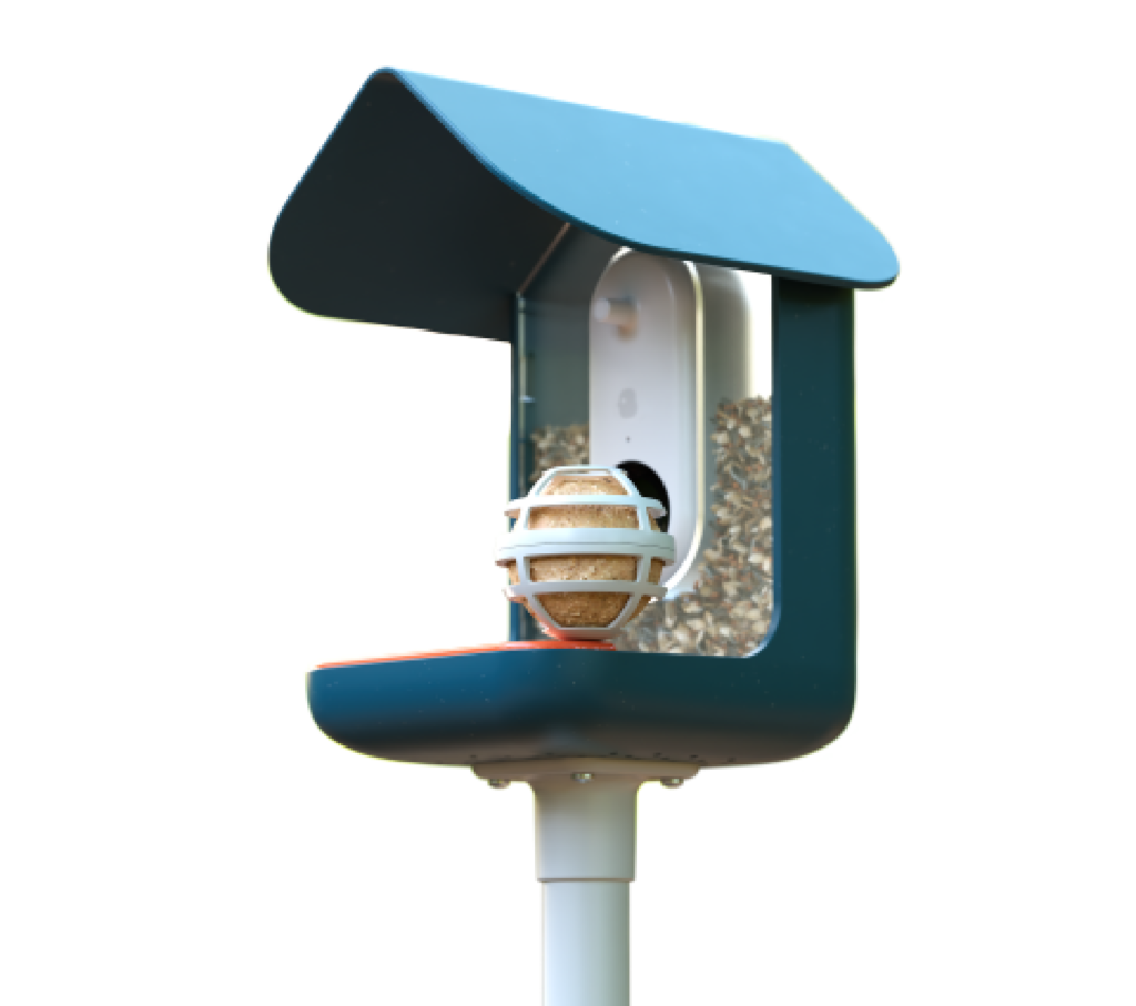 Take Glamor Shots of Hummingbirds With the New Bird Buddy Feeder