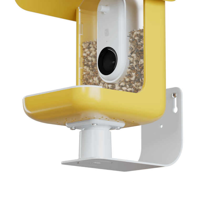 Yellow Smart Bird Feeder - wall mount
