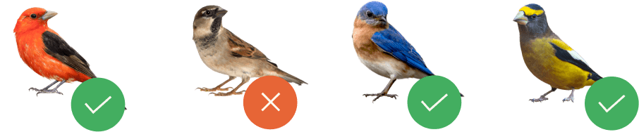 Bird Buddy Pro - mute and ignore species