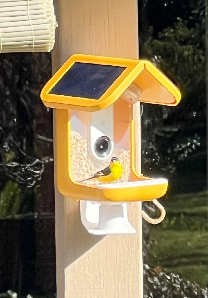 Yellow Smart Bird Feeder with solar roof