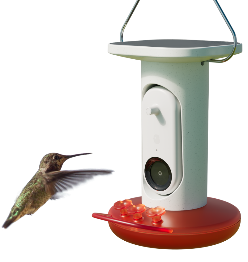 Smart Hummingbird Feeder with Solar Roof
