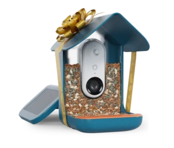 Birdbuddy Pro Solar