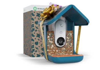 Gift of the Year Bundle