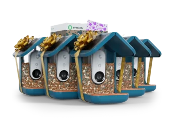 Birdbuddy Big Family Pack