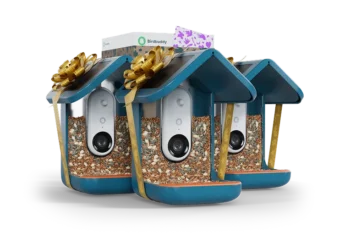 Birdbuddy Family Pack