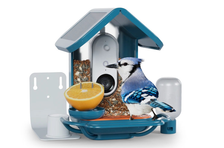 Birdbuddy Holiday Bundle