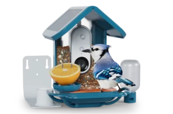 Gift of the Year Bundle