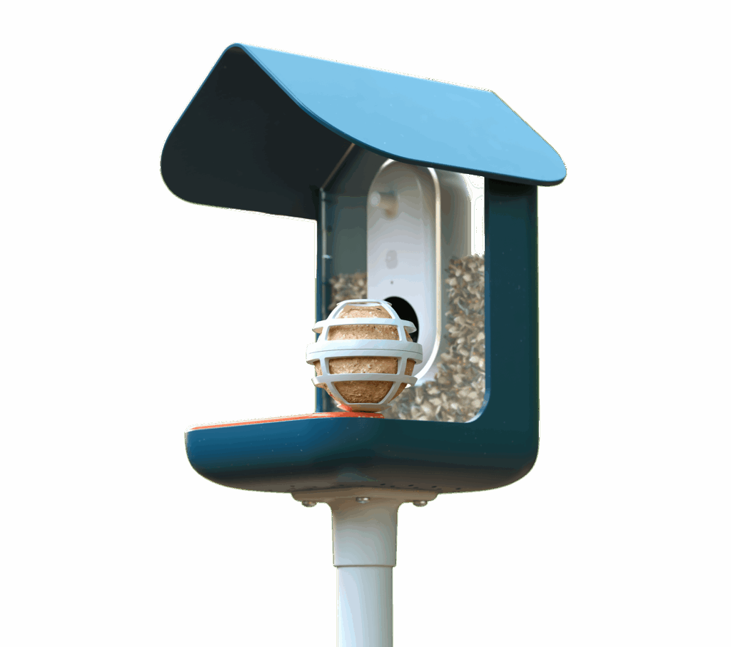 Suet Ball Holder