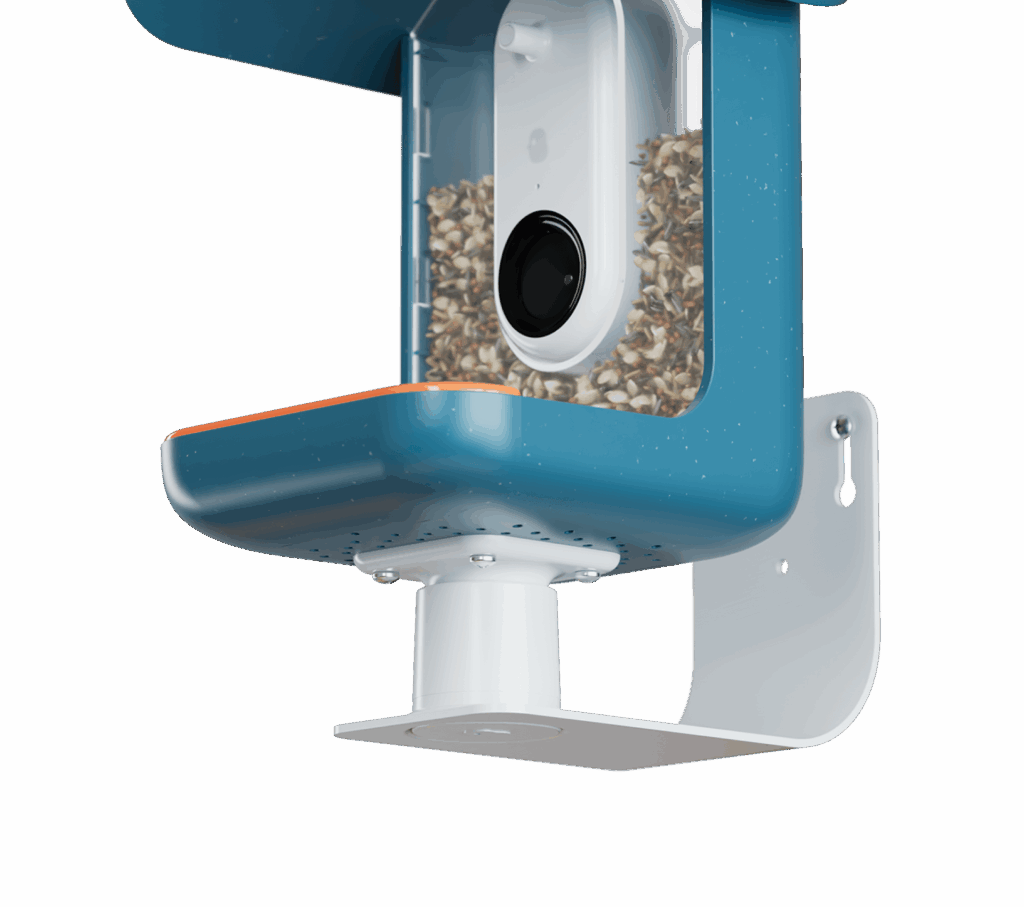 Wall Mount