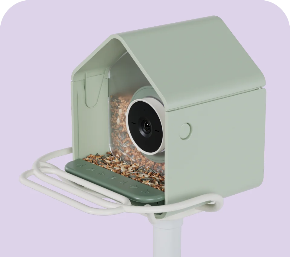 Perch Extender