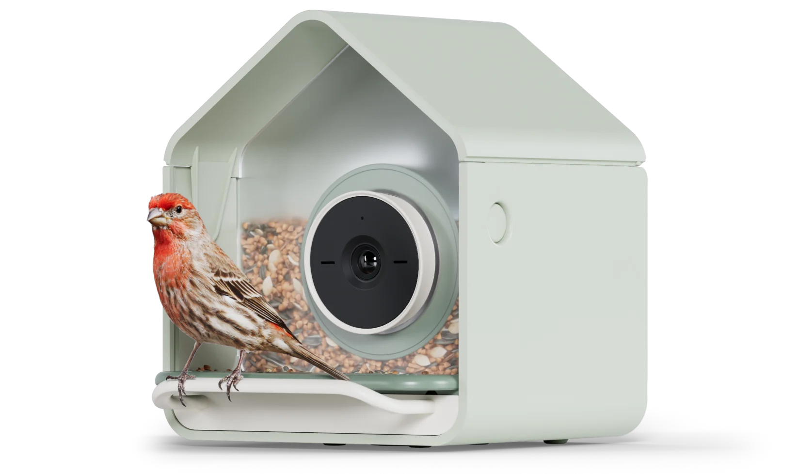 Birdbuddy Nook feeder with a house finch