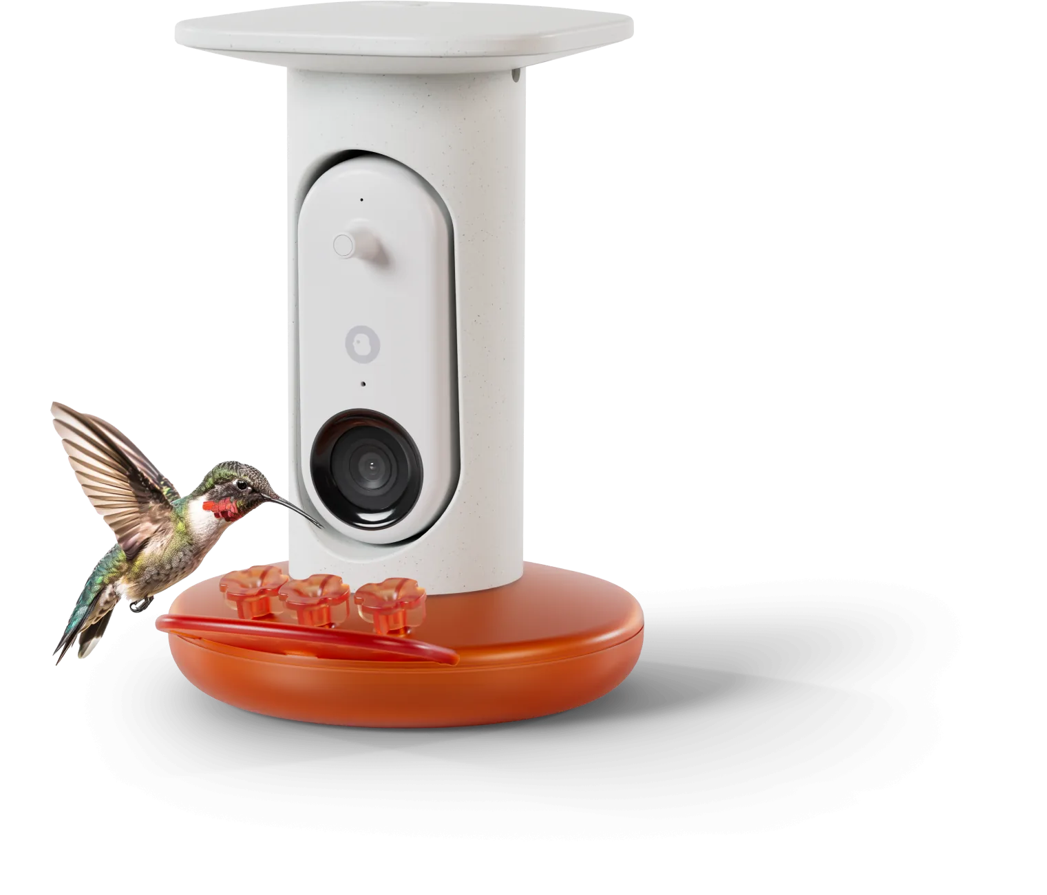 Smart Hummingbird Feeder Pro with a hummingbird at the flower ports