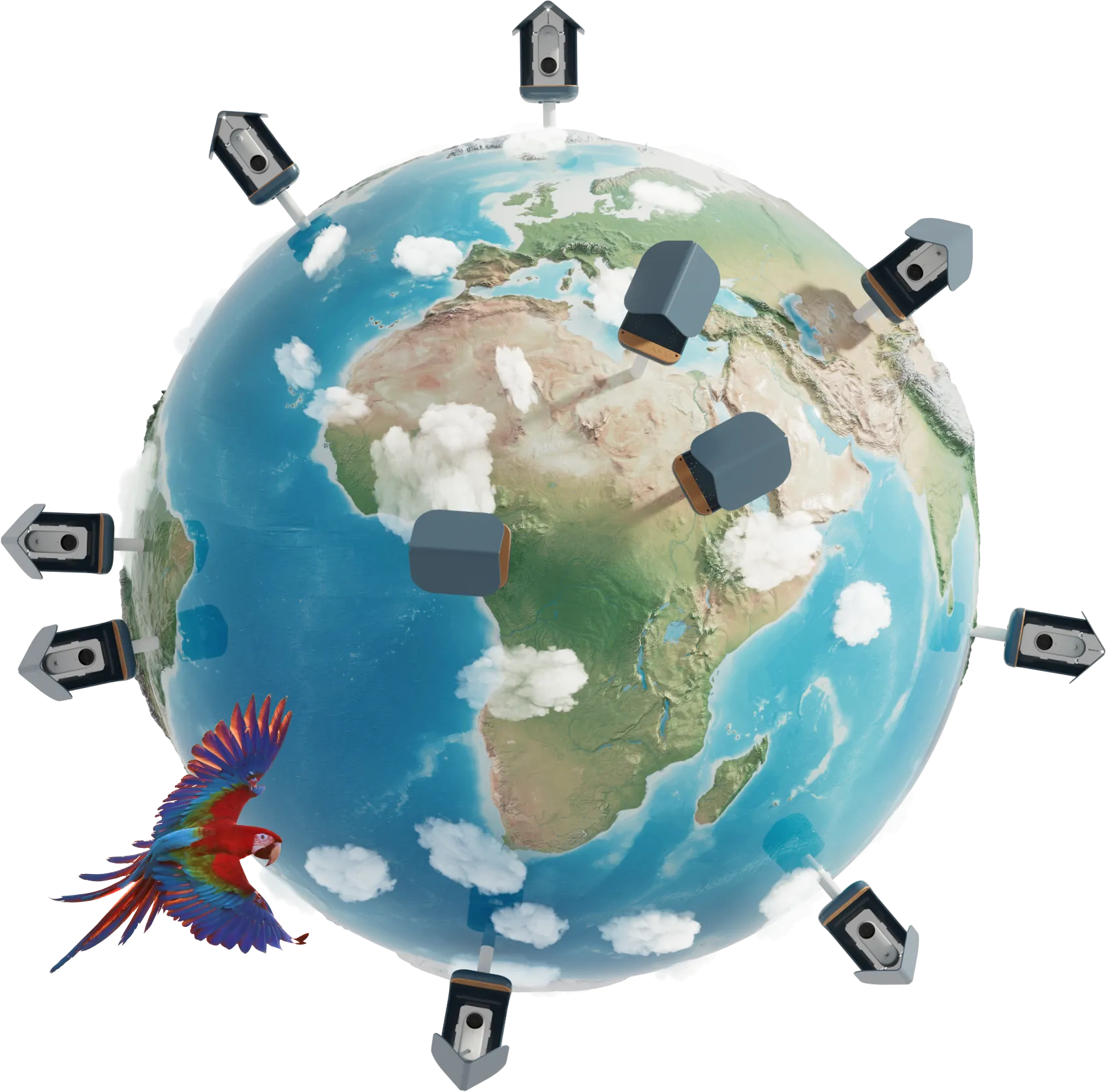 Globe ringed with Birdbuddy feeders and a flying macaw