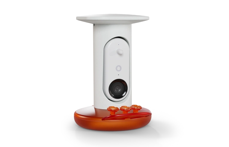 Hummingbird Feeder Pro