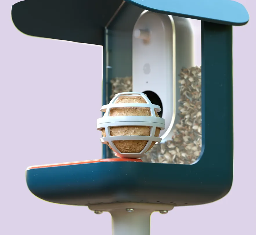 Suet Ball Holder