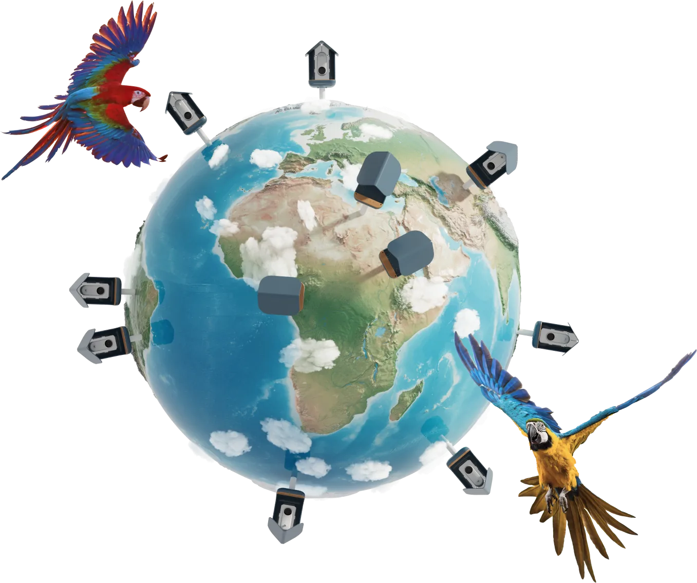 Globe ringed with Birdbuddy feeders and two flying macaws