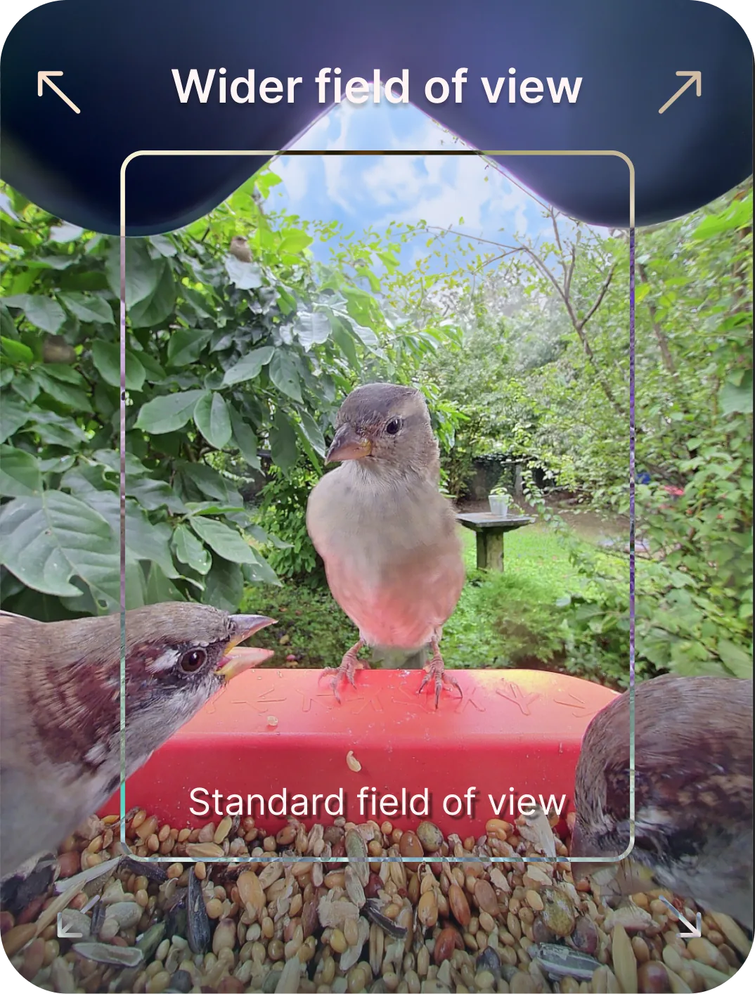 Wider field of view compared with the standard field of view