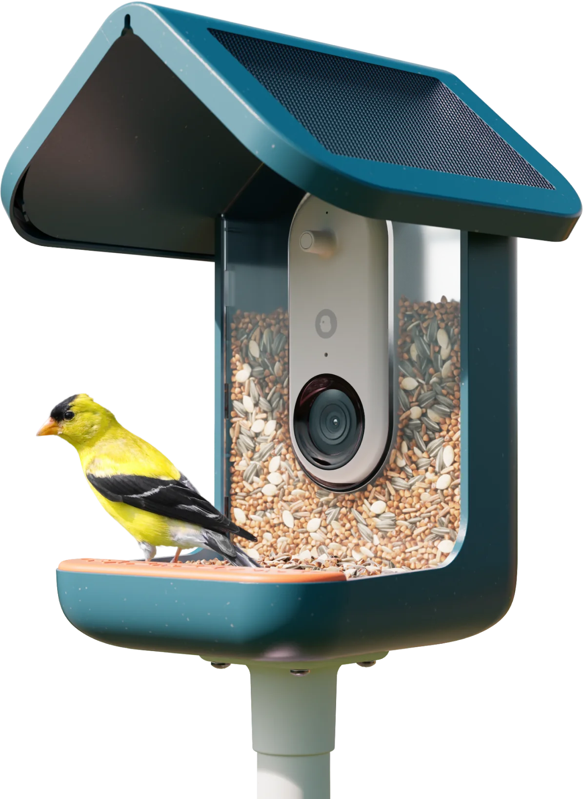 Birdbuddy Pro Solar smart bird feeder with a goldfinch