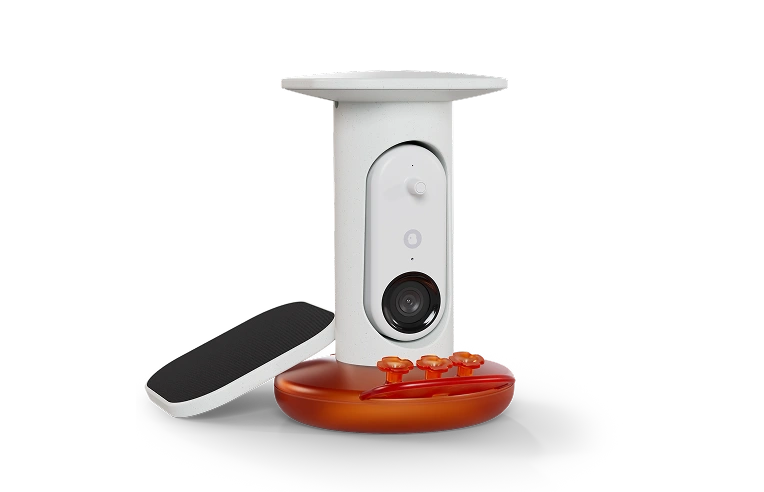 Hummingbird Feeder Pro Solar