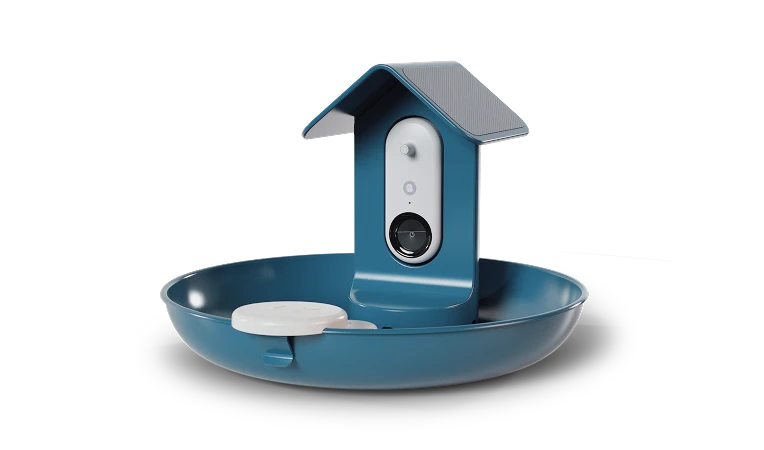 Smart Bird Bath