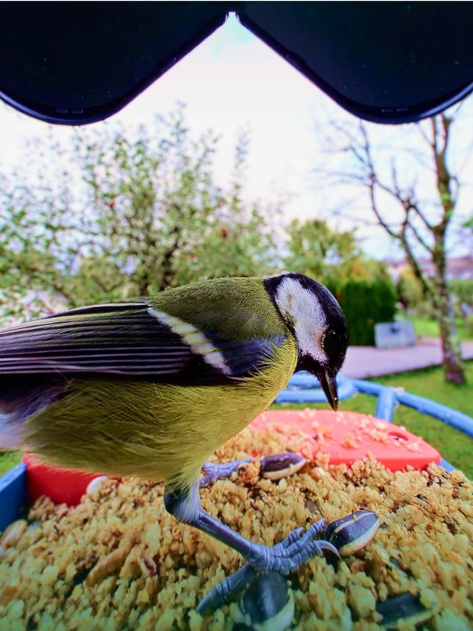 Built for epic close-ups