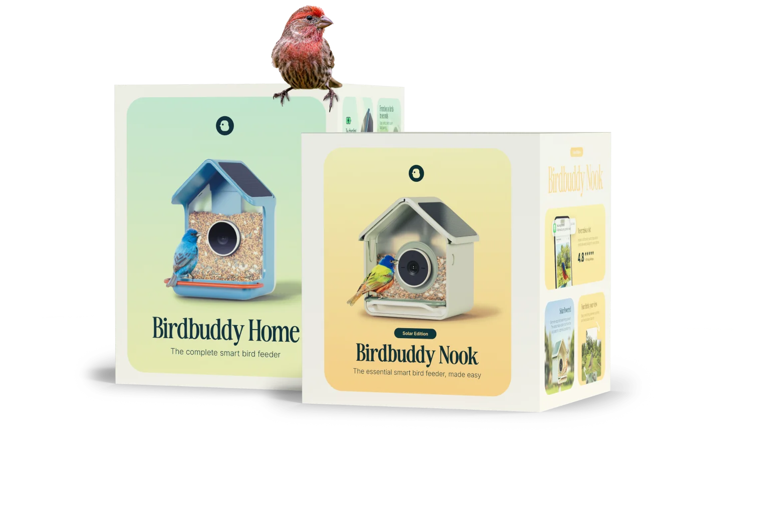 Birdbuddy Home and Birdbuddy Nook gift boxes with a house finch on top