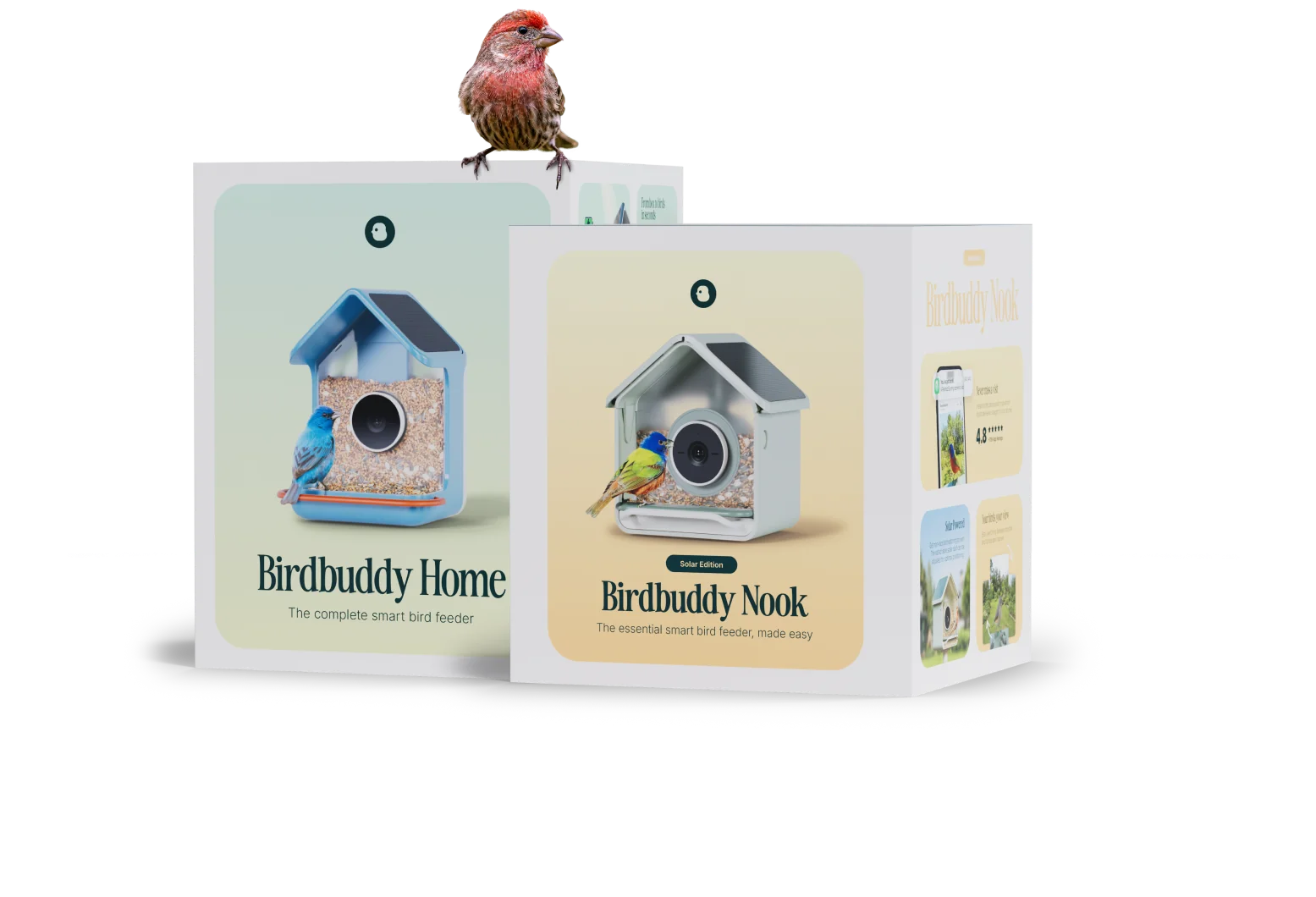 Birdbuddy Home and Birdbuddy Nook gift boxes with a house finch on top