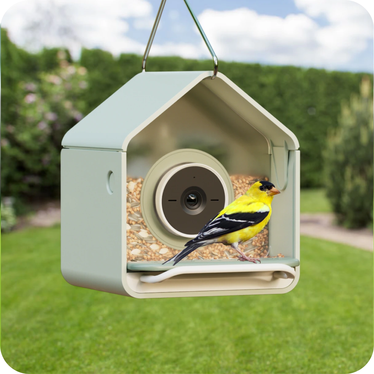 Birdbuddy Nook feeder hanging in a garden with a goldfinch feeding