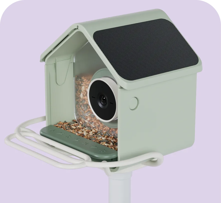 Nook Solar with the Perch Extender