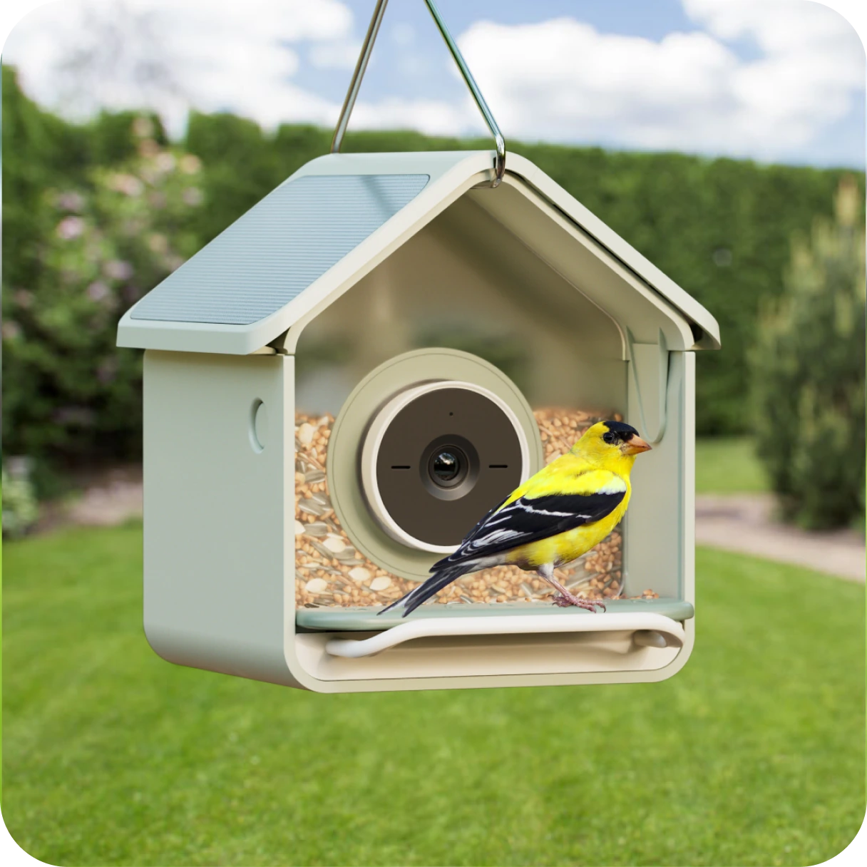 Birdbuddy Nook Solar hanging in a garden with a goldfinch feeding