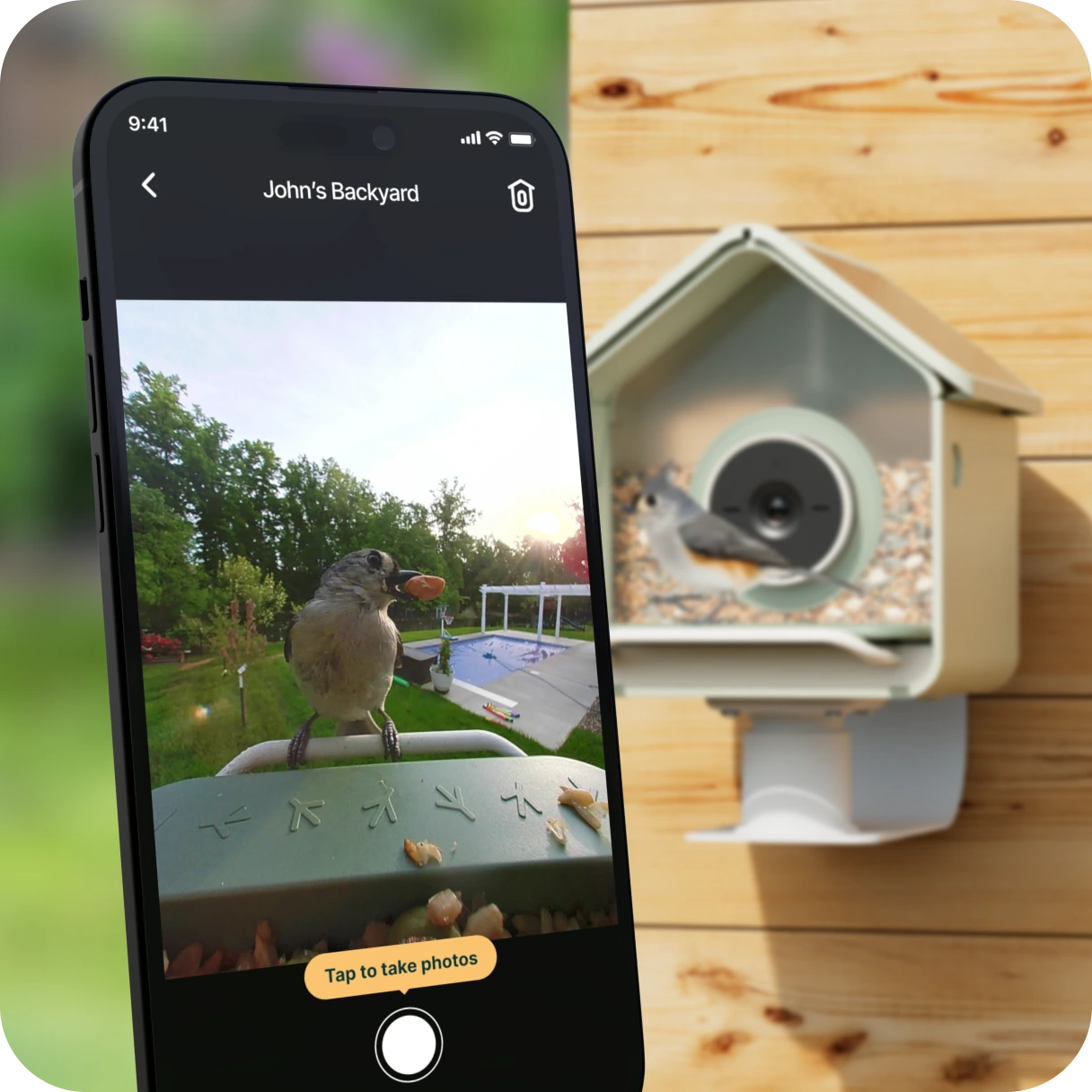 Phone showing the Birdbuddy live view beside a wall-mounted Nook Solar