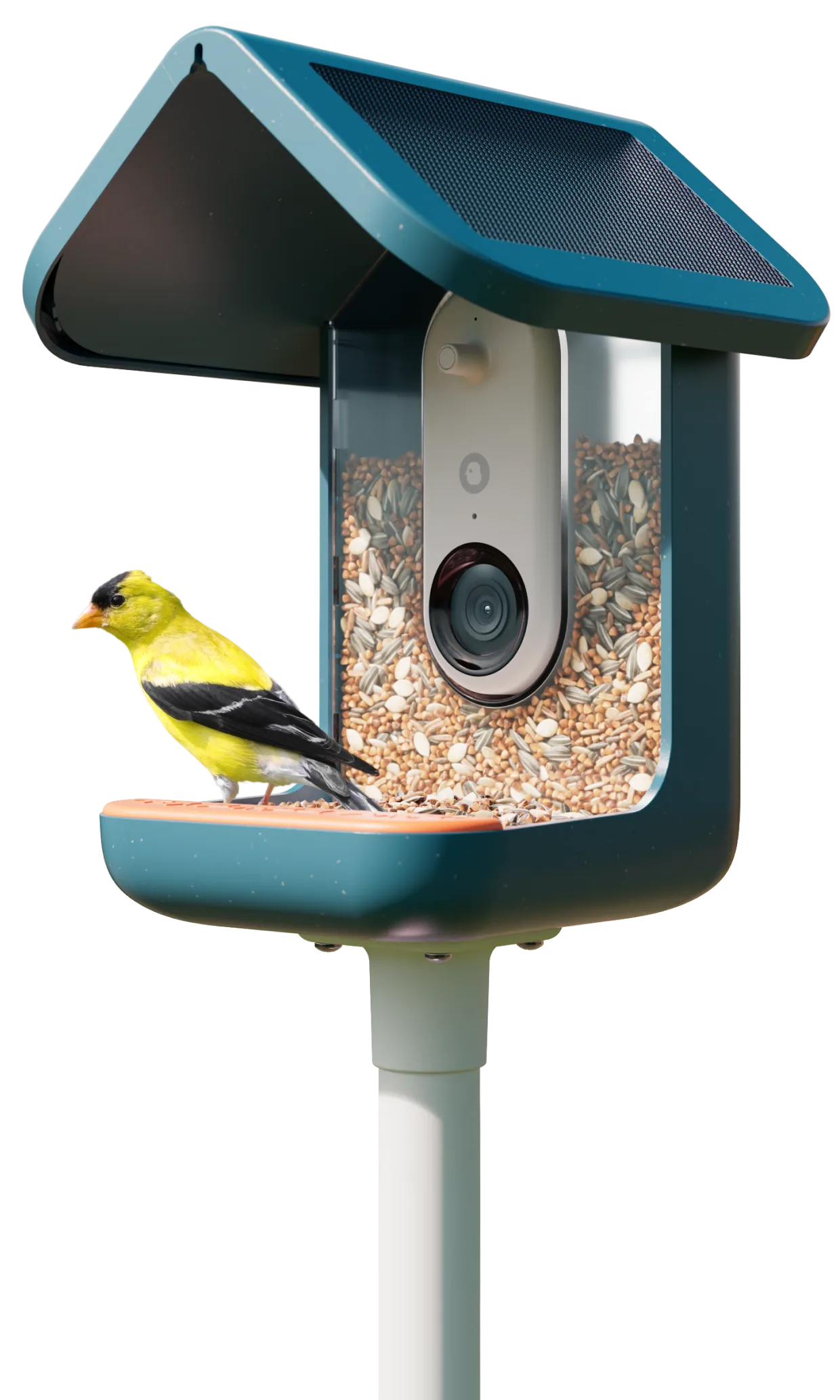 Birdbuddy Pro Solar smart bird feeder with a goldfinch