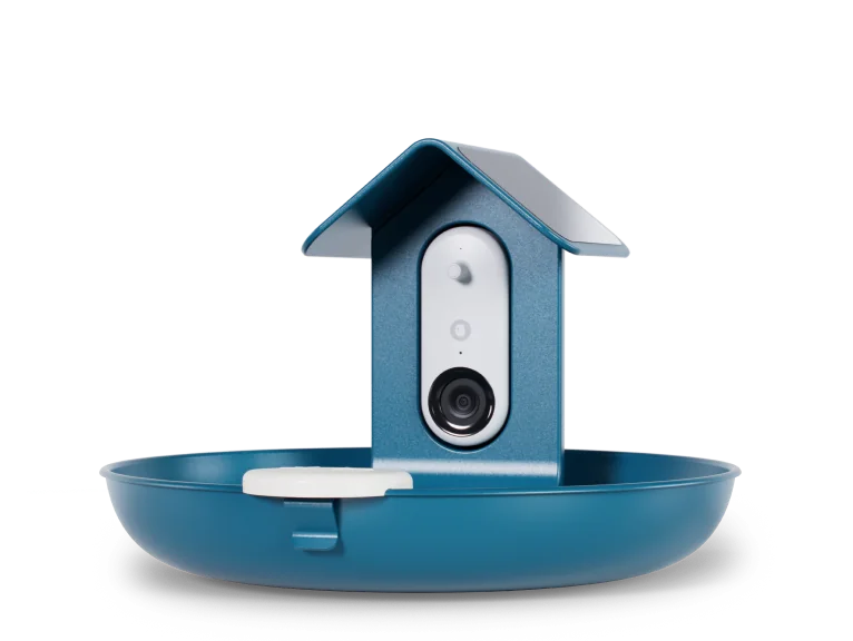 Smart Bird Bath